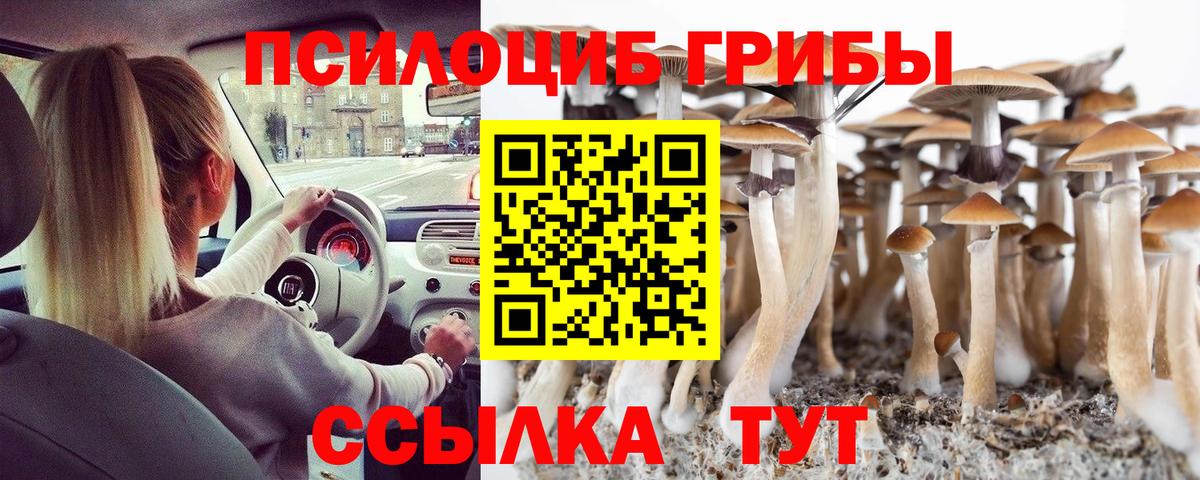 Галлюциногенные грибы мухоморы Камень-на-Оби